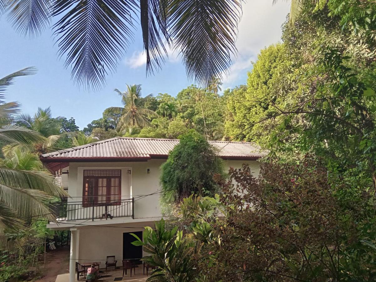 Jungle Village Homestay Pinnawala  Eksteriør billede