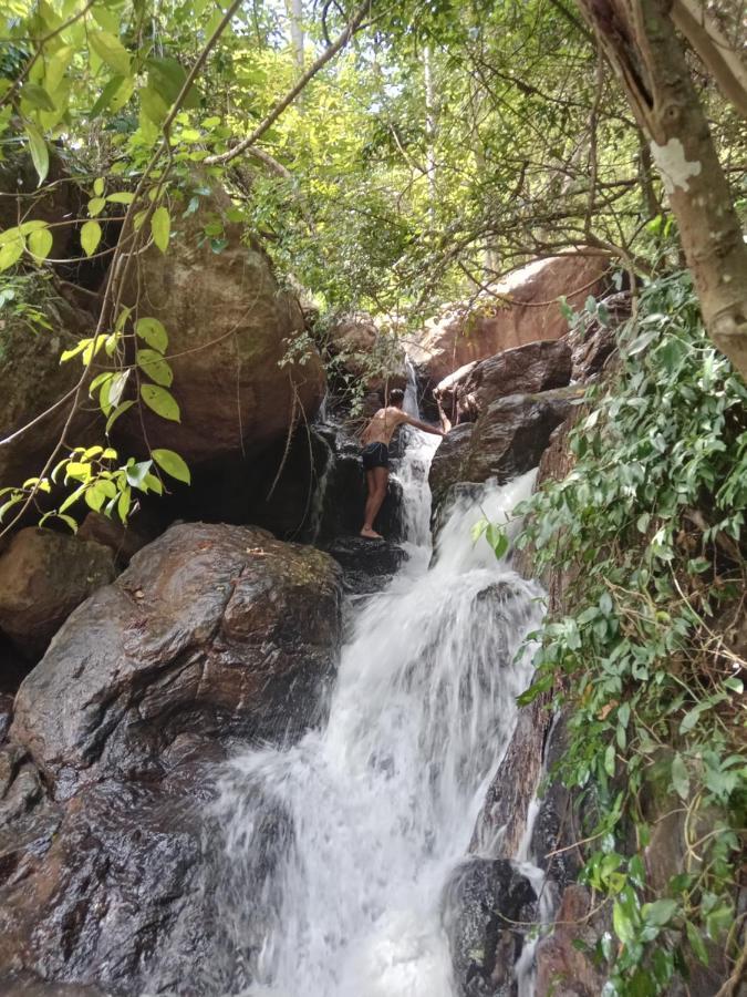 Jungle Village Homestay Pinnawala  Eksteriør billede