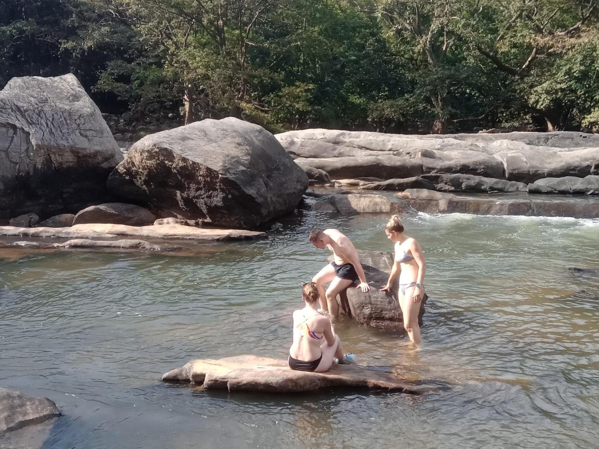 Jungle Village Homestay Pinnawala  Eksteriør billede