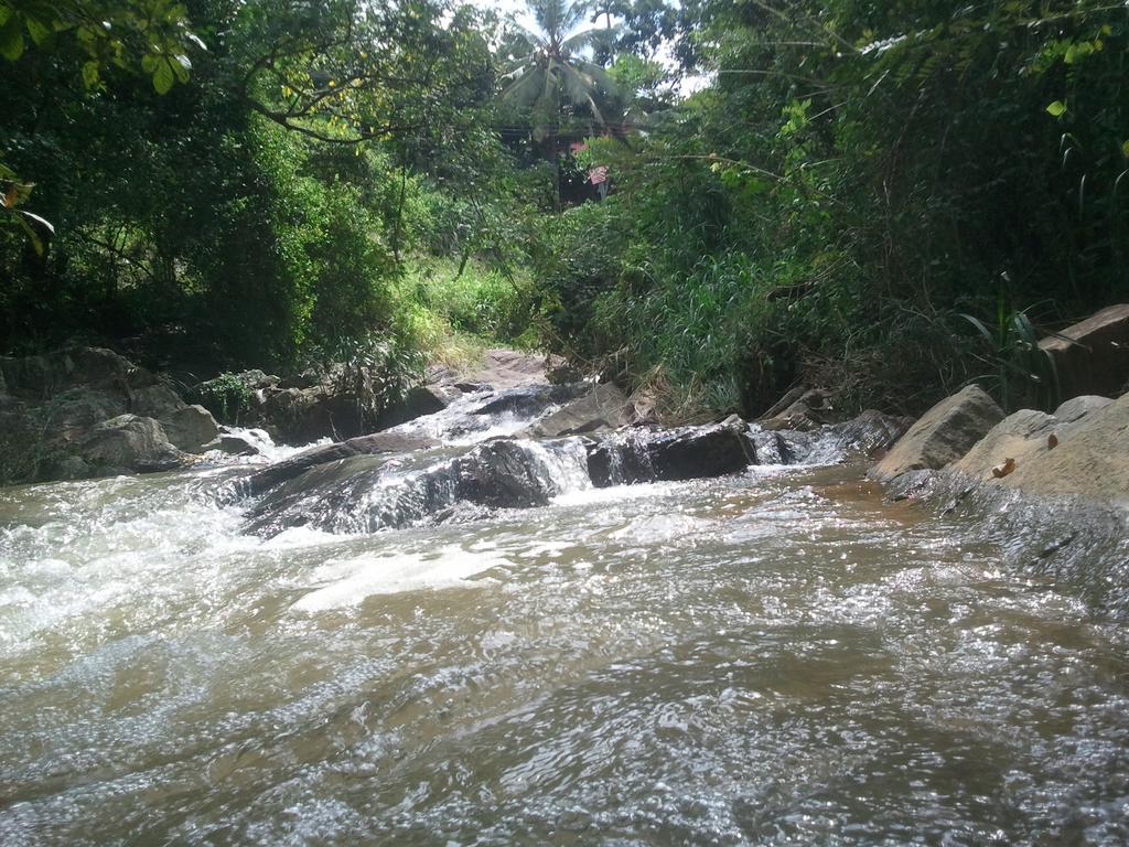 Jungle Village Homestay Pinnawala  Eksteriør billede