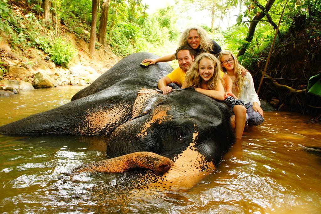Jungle Village Homestay Pinnawala  Eksteriør billede